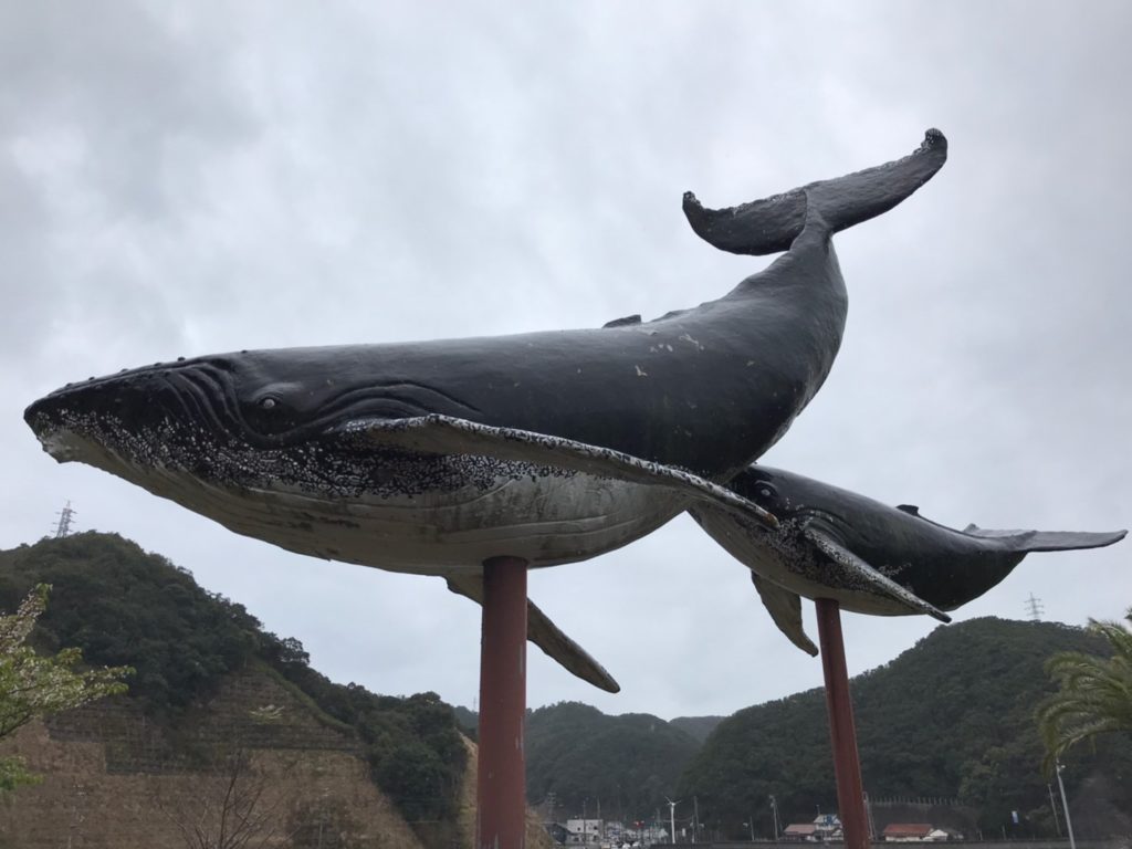 太地町立くじらの博物館